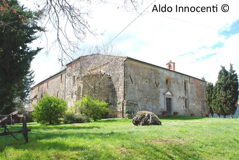ABBAZIA DI SAN PIERO IN CAMPO: ABBAZIA 7' IMMAGINE